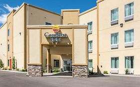 Comfort Inn Apalachin - Binghamton W Route 17